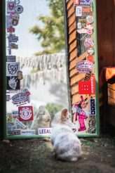 Laid Back Bohemian Garden Wedding with a Barefoot Bride and a £300 Budget! (7)