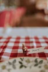 Vintage Picnic Wedding with a Splash of Pom Poms & Drag Bingo! (33)