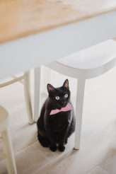 A Ghanan Prince Marries his Italian Princess (5)