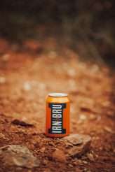 Arizonian Mountain Roadtrip Elopement 34