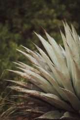 Arizonian Mountain Roadtrip Elopement 46