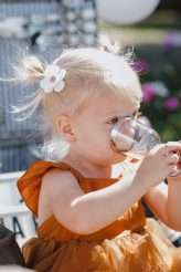 Laid Back Vegan Picnic Wedding on a Tuesday Afternoon (11)