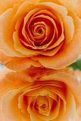 Mirror Mirror An Alternative Bridal Editorial for Rock n Roll Bride Magazine (2)