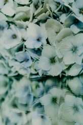 Mirror Mirror An Alternative Bridal Editorial for Rock n Roll Bride Magazine (53)