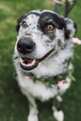 Botanical Rainbow Summer Festival Wedding (28)