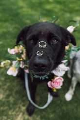 Botanical Rainbow Summer Festival Wedding (29)