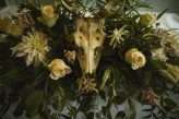 Skulls, Taxidermy & Dead Things An Elegant Gothic Wedding with a Classically Beautiful Twist (6)