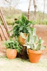 Southern Lodge Wedding with Modern Bohemian Styling & The Guests All in White (5)