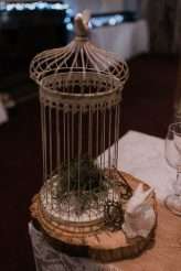 Birds, Bicycles, Skulls & Air Plants (and the Most Stunning Chotronette Dress!) (39)