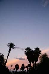 Colourful & Creative Poolside Wedding in Palm Springs (93)