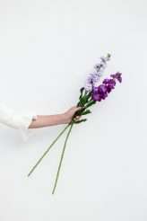 A Story of Flowers The 2019 Collection from Javier Quintela Atelier (1)