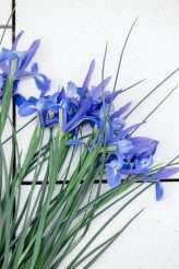 A Story of Flowers The 2019 Collection from Javier Quintela Atelier (13)