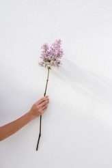 A Story of Flowers The 2019 Collection from Javier Quintela Atelier (41)