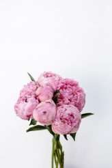 A Story of Flowers The 2019 Collection from Javier Quintela Atelier (51)