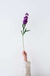 A Story of Flowers The 2019 Collection from Javier Quintela Atelier (80)