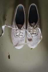 Enchanted Circus Wedding Alpacas 30