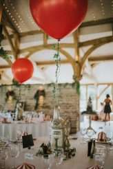 Enchanted Circus Wedding Alpacas 46