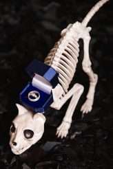 Pastel Goth Satanic Polyamorous Lolita Wedding 4