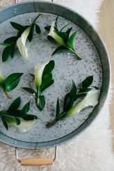 Annaliese+Dan Wedding