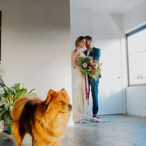 Moody Art Deco Glam Wedding with Dogs 77
