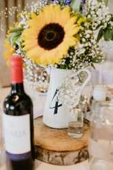 Yellow summer fete picnic wedding rosedew farm (9)