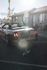 Rock n Roll Las Vegas Elopement with a Discount Universe Dress & a Ring Bear-er! (22)