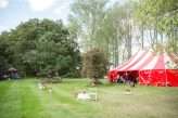Vegan Big Top Festival Wedding 12