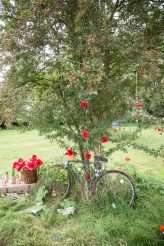 Vegan Big Top Festival Wedding 14