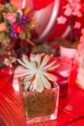 Vegan Big Top Festival Wedding 83