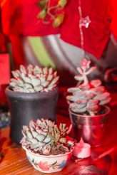 Vegan Big Top Festival Wedding 86