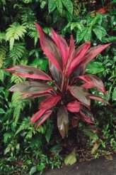 A Barefoot Bali Waterfall Elopement (44)