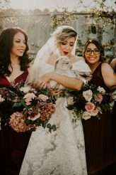 Las Vegas Alpaca Baby Goat Mexican Inspired Wedding 33