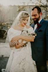 Las Vegas Alpaca Baby Goat Mexican Inspired Wedding 35