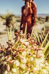 You’re So Cool Rock n Roll Meets the Desert, Western & Sparkles (56)