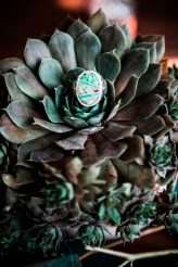 Natural Bohemian Boho Backyard Wedding Succulents Macrame 6