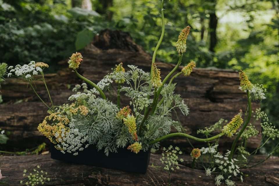 Romantic & Whimsical Elopement Shoot Which Prioritises Wheelchair ...