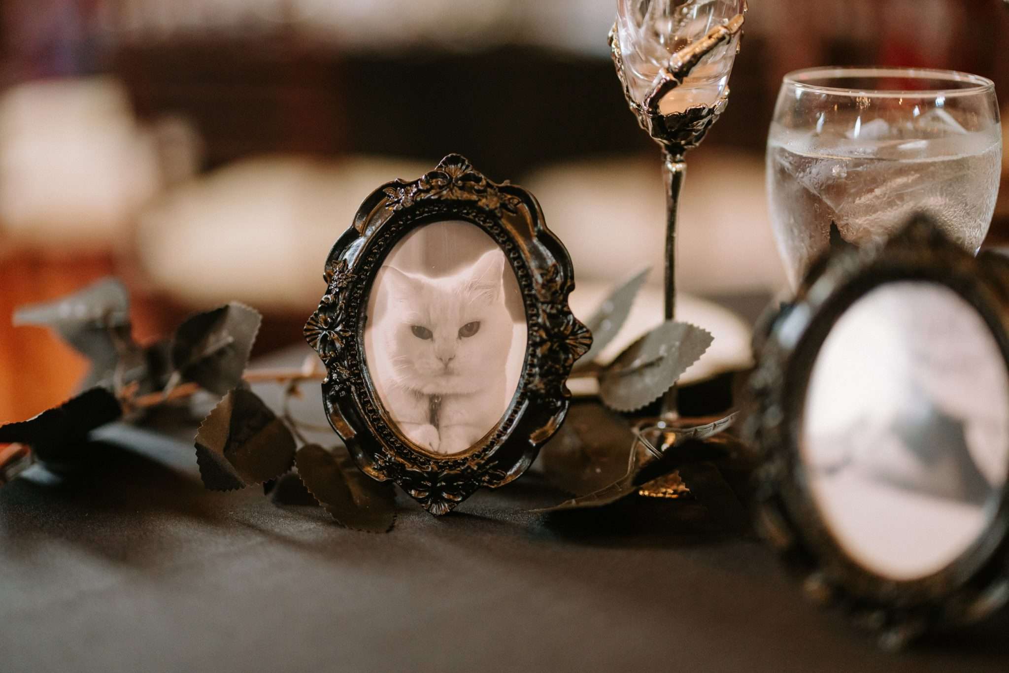 Dark Romance Wedding in Salem with an Emo Night Reception
