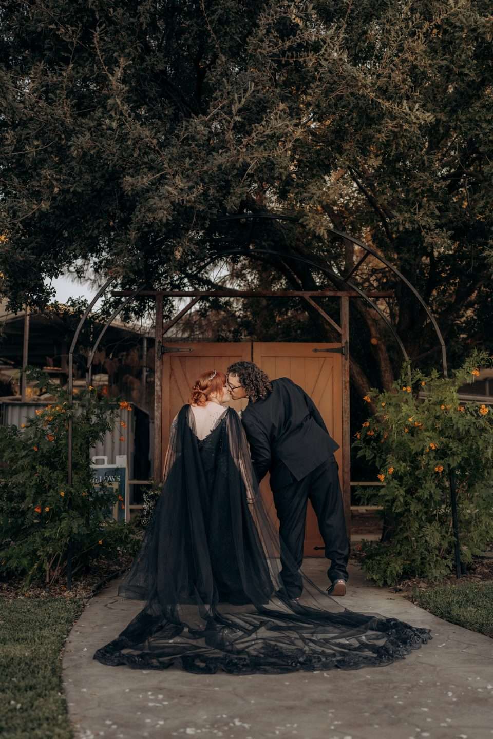 Pop-Punk Zoo Wedding